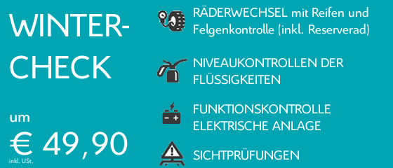 Wintercheck-Radwechsel-Pongruber-Elixhausen