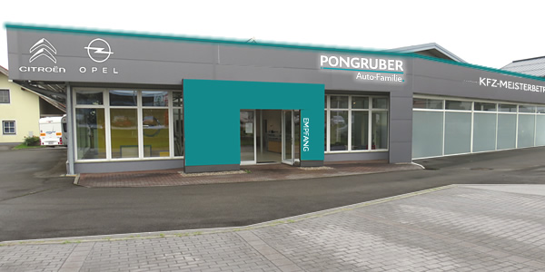 Pongruber Auto-Familie