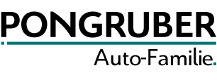 pongruber.at logo