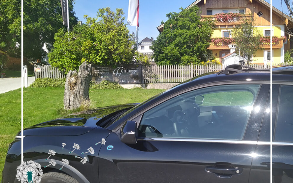 Girlingut Elixhausen Citroen