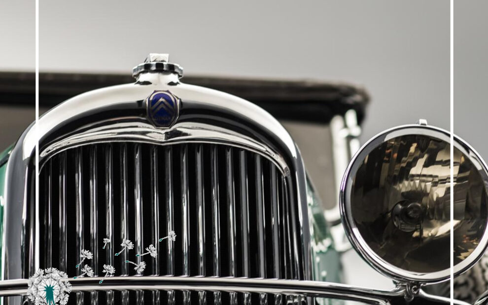 citroen-e-c4-sommer-challange_37 alter Citroen