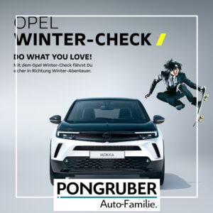 Wintercheck Angebot Opel