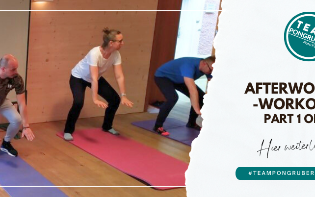 teampongruber-training1 pongruber-auto-familie training teambuilding autohaus