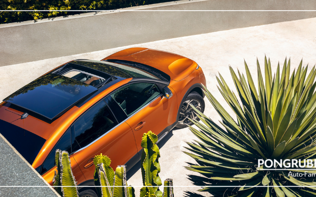 HOMEPAGE1-postingvorschläge-KW19 Citroen c4 pongruber Elixhausen bei salzburg