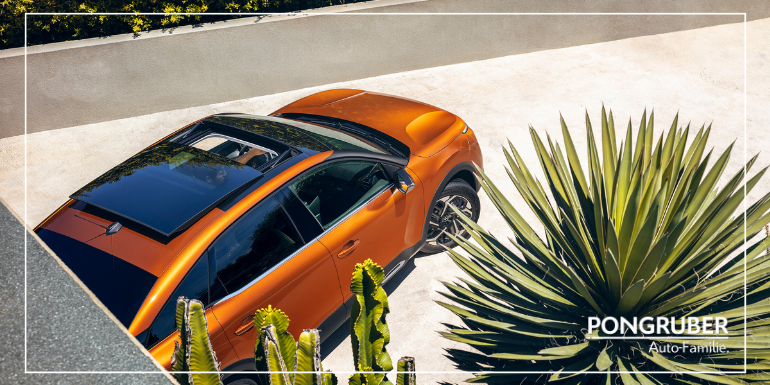 Citroen c4 pongruber Elixhausen bei salzburg