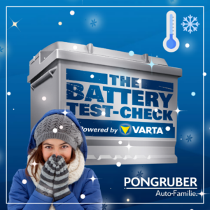HOMEPAGE2-Batteriecheck