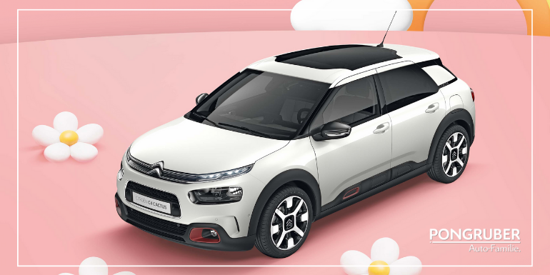 HOMEPAGE1 – FJC 24 Citroen Frühlings-Check bei der Pongruber Auto-Familie