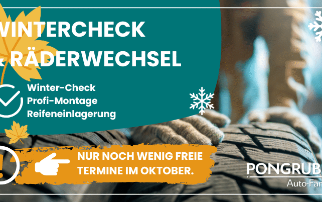 Räderwechseltage und Wintercheck bei PONGRUBER Citroen und Opel in Elixhausen bei Salzburg