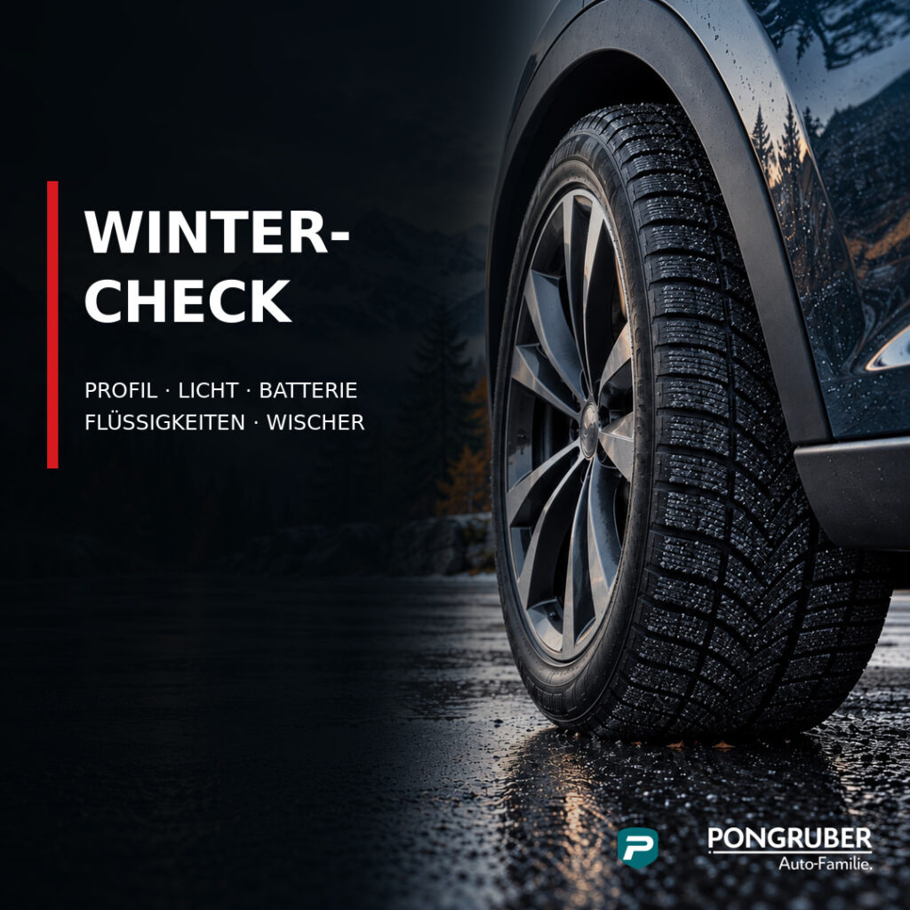 Wintercheck bei Pongruber Elixhausen